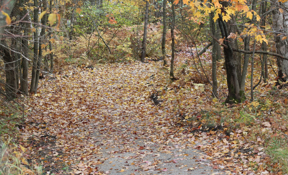 Sentier no 1 du parc StAlphonse, sentier de randonnée pédestre et